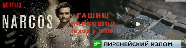 ECSTASY Армянск