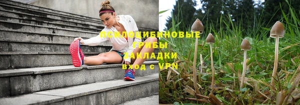 твердый Арсеньев