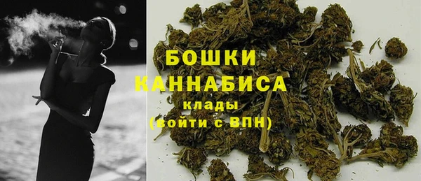 a pvp Аркадак