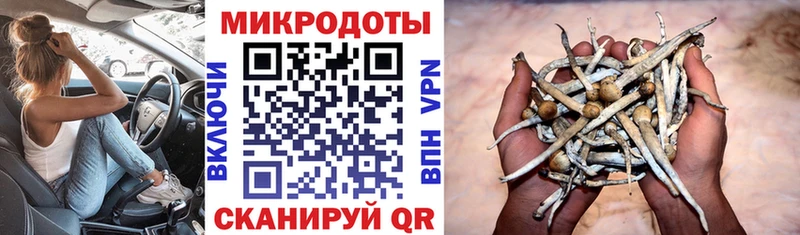Псилоцибиновые грибы Magic Shrooms  Омутнинск 